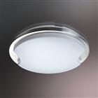 Acrylic Aluminum Celling Lamp