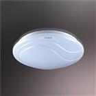 LED Ceiling Lamp