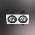 MG20-COB12Wx2