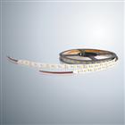 QS-SMD5050-12V