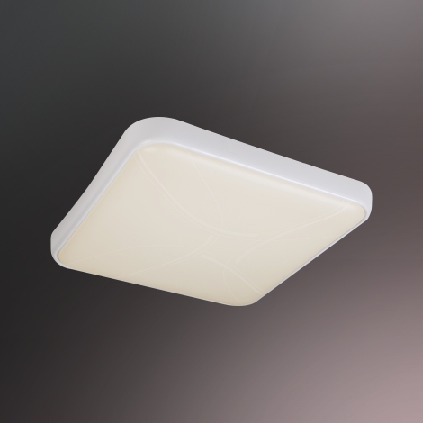 白飘带LED-30A