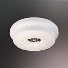 LED Celling Lamp